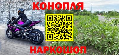 Альфа ПВП Пенза