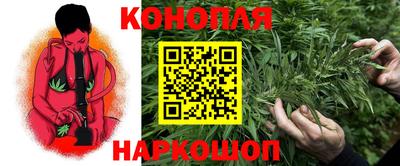 Альфа ПВП Пенза