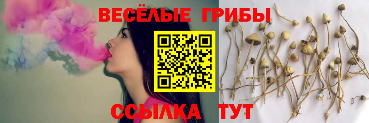 Тула  Галлюциногенные грибы GOLDEN TEACHER  Вход с VPN 